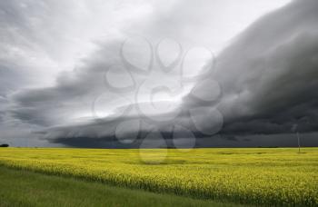 Storm Clouds Saskatchewan shelf cloud ominous warning