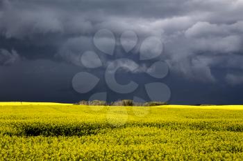 Storm Clouds Saskatchewan Prairie scene Canada Farm