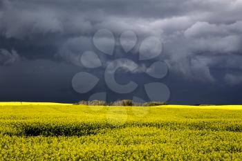 Storm Clouds Saskatchewan Prairie scene Canada Farm