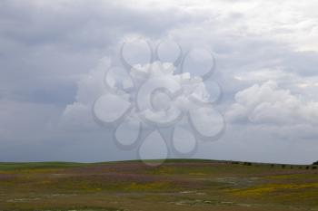 Prairie Storm Clouds Canada Saskatchewan pink alfalfa