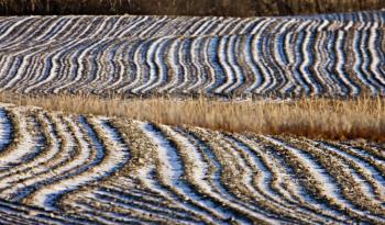 Ploughed Feild in Winter lines in soil white