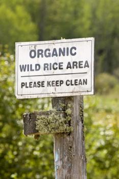 Organic Wild Rice sign Northern Saskatchewan Canada