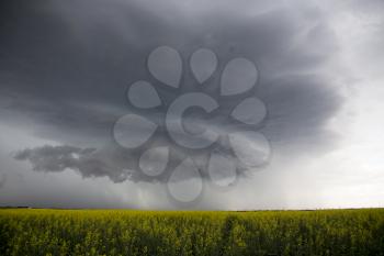 Prairie Storm Clouds in Saskatchewan Canada rural setting
