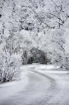 Winter Frost Saskatchewan Canada ice storm danger