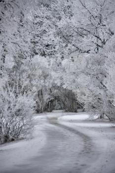 Winter Frost Saskatchewan Canada ice storm danger