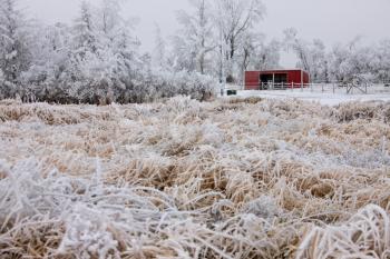 Winter Frost Saskatchewan Canada ice storm danger