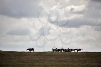 Prairie Storm Clouds Canada summer danger rural 