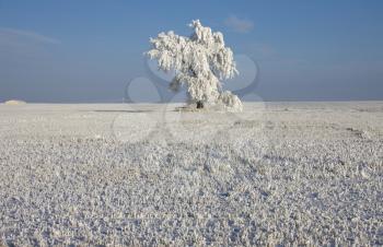 Winter Frost Saskatchewan Canada ice storm danger