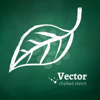 Hand drawn leaf on green chalkboard texture. Vector EPS 10.