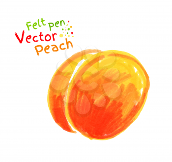Vector felt pen childlike drawing of peach.