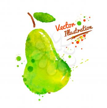 Vector watercolor hand drawn illustration of green pear.