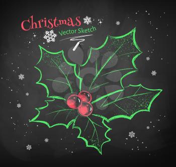 Color chalk vector sketch of Christmas holly on black chalkboard background. 