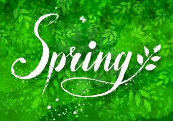 Spring word grunge hand drawn vector lettering on green watercolor background with leaves and tree branches.