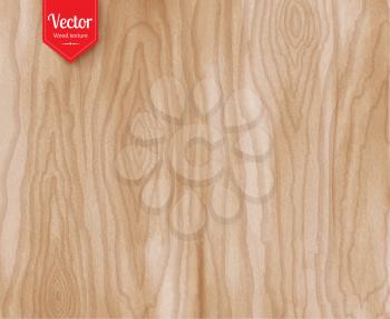 Vector light wood grunge background texture.