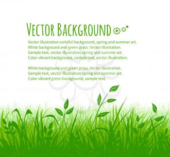 Summer meadow grunge vector background with green grass and leaves.