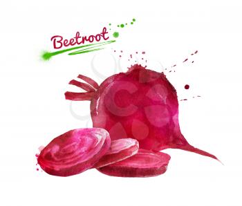 Watercolor hand drawn illustration of beetroot whole and sliced with paint smudges and splashes.