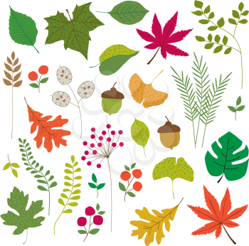 Frond Clipart