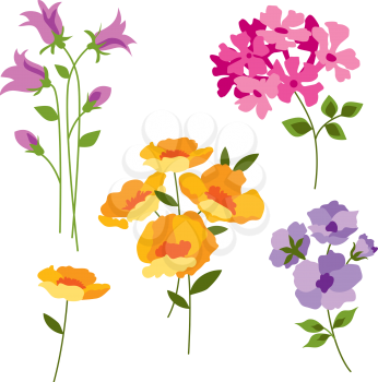 Begonia Clipart