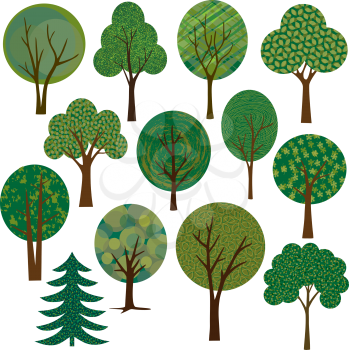 Elm Clipart