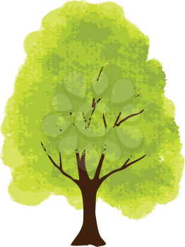 Elm Clipart