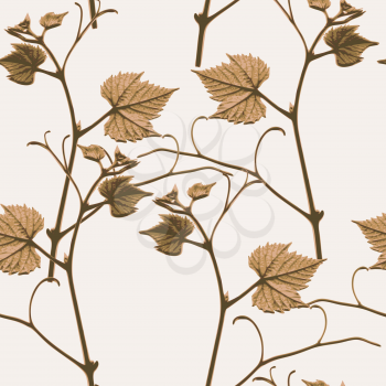 Vector graphic, artistic, stylized image of seamless pattern branches of grape leaves
