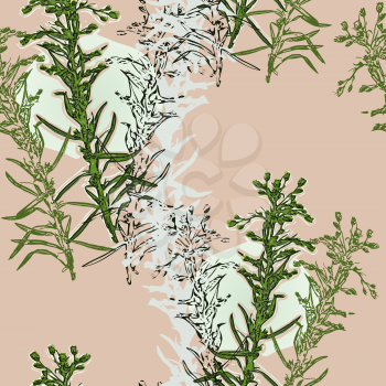 Vector graphic, artistic, stylized image of seamless pattern watercolor flower Helichrysum, yarrow
