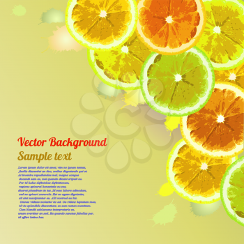 Vector greeting card, background with the image slices of orange, lemon, lime on a green background. Can be used to design advertising citrus. Space for text.