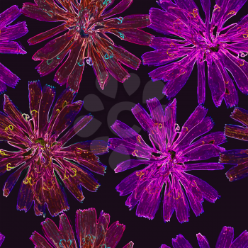 Vector graphics, artistic, stylized image of a seamless pattern  flower chicory on a dark background