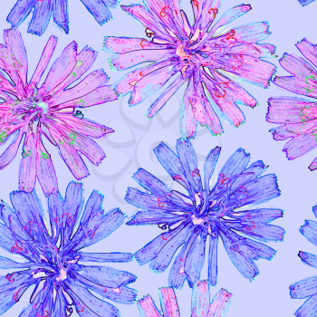 Vector graphics, artistic, stylized image of a seamless pattern  flower chicory on a blue background