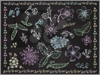 Design elements set of abstract  flowers on blackboard. Decor design greeting cards, wedding invitations, marriage, bridal, 
birthday. Vector illustration.