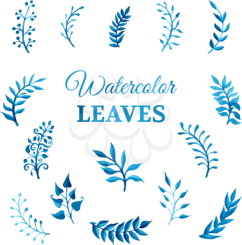 Bright blue leaves isolated on white background.