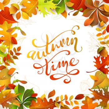 Bright colourful autumn leaves on white background. You can place your text in the center.