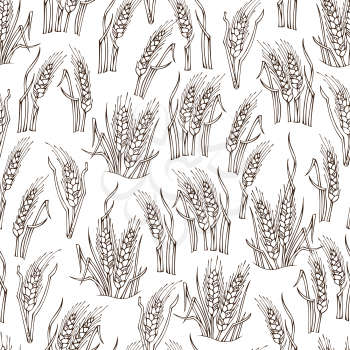 Hand-drawn wheat on white background. Thanksgiving day. Harvest time. Boundless outlined background for your design.