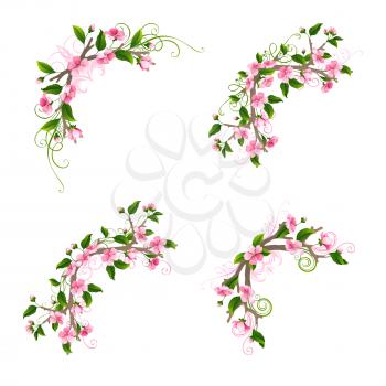 Pink cherry blossoms and leaves on tree branches. Hand-drawn flourishes. Isolated on white background.