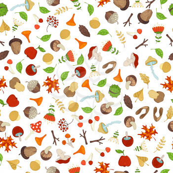 Tree branches, leaves, edible and poisonous mushrooms, fir-cones, maple seeds, rowan berries, flowers, acorns and chestnuts. Outdoors boundless background.