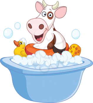 Cow taking a bath
