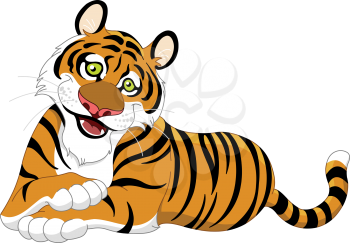 Beautiful lying tiger