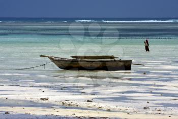 beach seaweed masai and boat in tanzania zanzibar