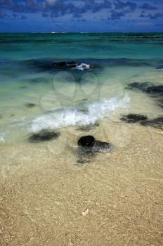beach  in ile du cerfs mauritius
