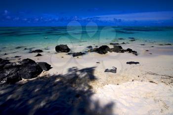 beach and  shadow in ile du cerfs mauritius