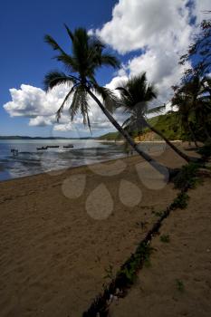  madagascar boat palm lagoon and coastline