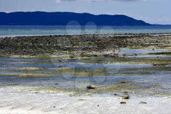 little bird beach sky sand isle and rock in indian ocean madagascar