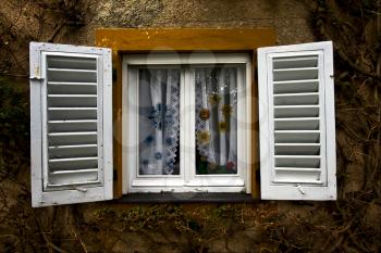 white wood venetian blind  bush plant and a yellow wall in the centre portofino italy