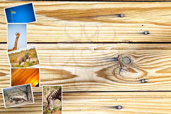 images from all over the south africa in a    patchwork