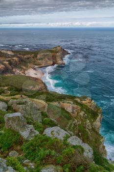 blur     in south africa coastline cape of good hope  and natural park reserve