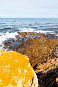 blur     in south africa coastline cape of good hope  and natural park reserve