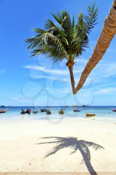  in  kho tao thailand bay asia isle   beach    rocks pirogue palm and south china sea 