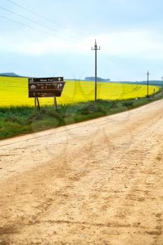 blur in south africa close up of the colza yellow field like   texture background