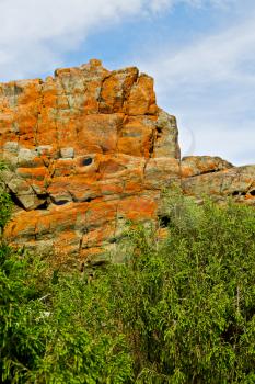 blur  in south africa    sky ocean    tsitsikamma reserve nature and rocks
