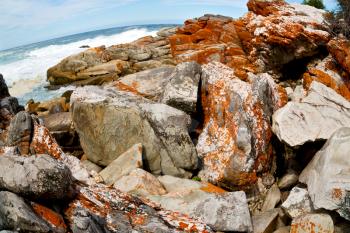  blur  in south africa   sky ocean  tsitsikamma reserve nature and rocks

